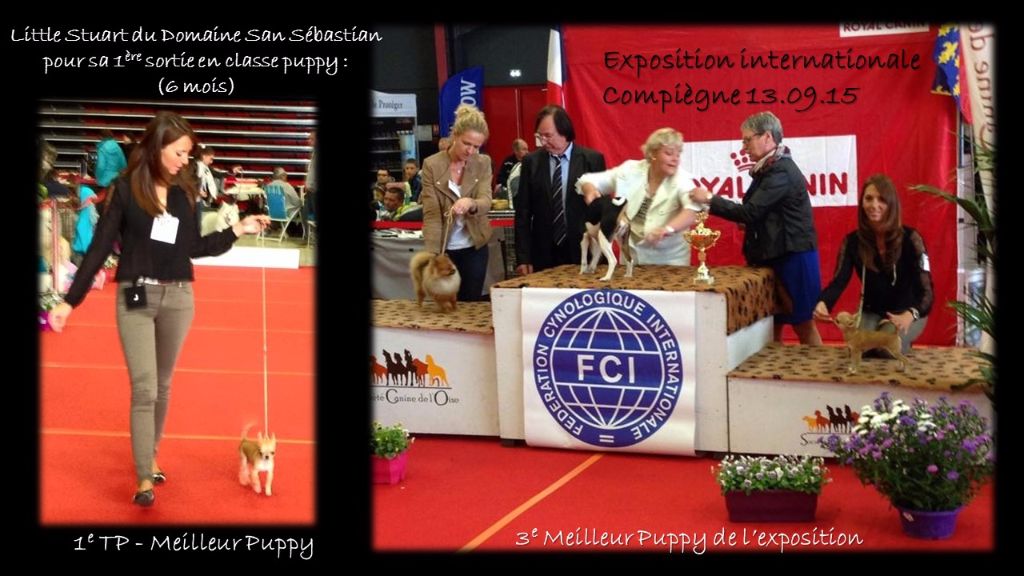Of Angel For Ever - 1e sortie en classe puppy pour Little (6 mois)